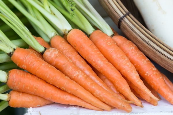 group of orange carrot on white table - Борщ с фасолью (школьное питание)