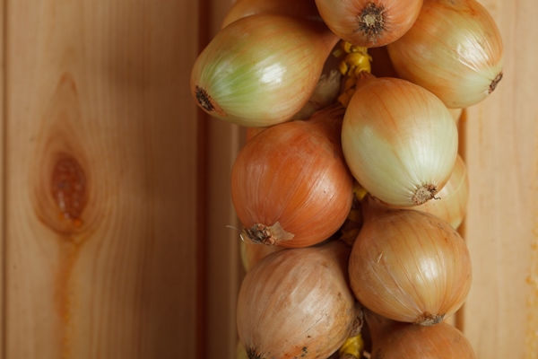 hanging strings of white onions - Суп картофельный с минтаем (школьное питание)