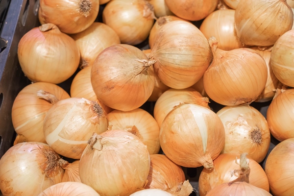 many onions were sold on the shelves of local products in department stores it is a nontoxic product and still looking fresh - Свекольник со сметаной (школьное питание)