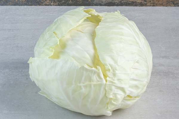 organic white cabbage on stone table high quality photo - Щи из свежей капусты со сметаной (школьное питание)