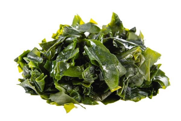 seaweed or kelp isolated on white background - Тушёная капуста с ламинарией (школьное питание)