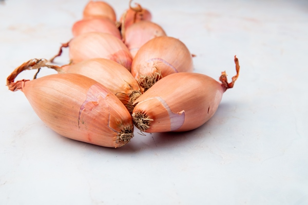 side view of shallots on white background with copy space - Суп овощной с фрикадельками (школьное питание)