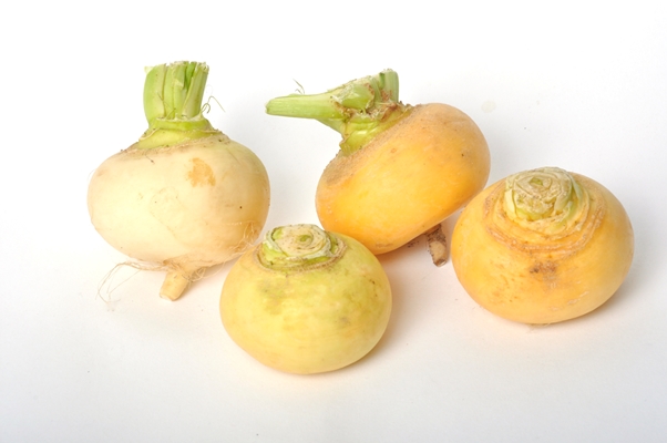 young turnips on a white background - Овощное рагу (школьное питание)