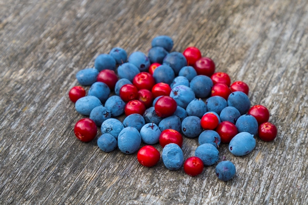 berries of blueberries and cowberry top veiw - Ягодный компот (школьное питание)