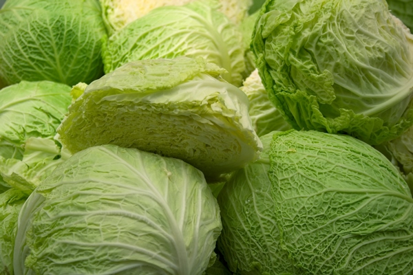 cabbage vegetable - Постный простой суп