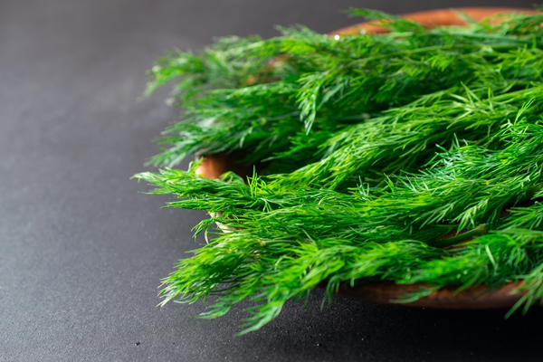 close up macro dill herbs - Чечевично-рисовые оладьи, постный стол