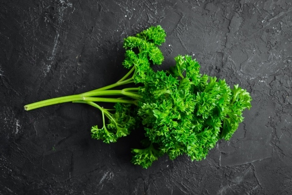 fresh green parsley spices and herbs on a black stone background top view free space for your - Суп-пюре из чеснока