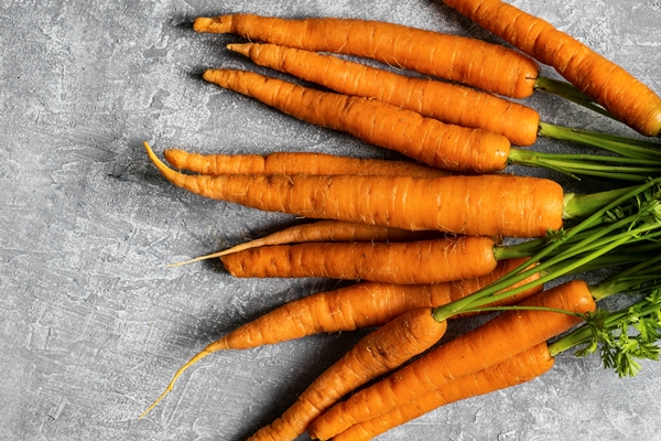 fresh organic bunch of carrots on a gray kitchen top aerial view - Щи монастырские богатые