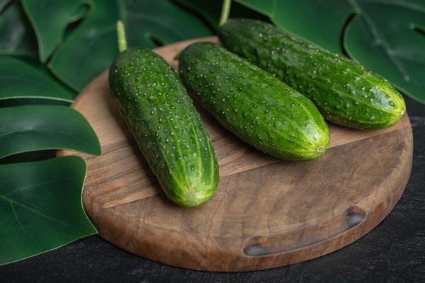 fresh ripe cucumbers on wooden board - Огурцы со йогуртом и мятой