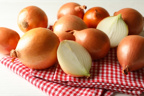 napkin with fresh onion - Рыба в томате с овощами (школьное питание)