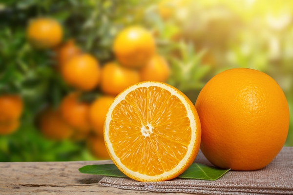 orange from the garden - Морковный торт