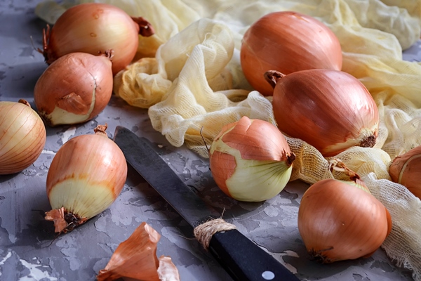 raw fresh onions 1 - Бефстроганов из отварной говядины (школьное питание)