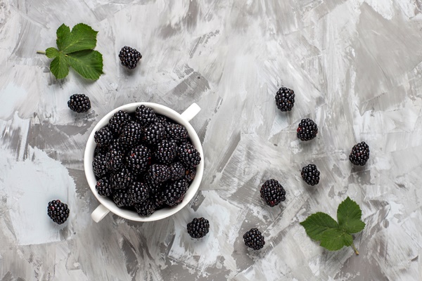 tasty ripe sweet healthy blackberry - Чай с ягодами и ягодным сиропом на фруктозе (диетическое школьное питание)