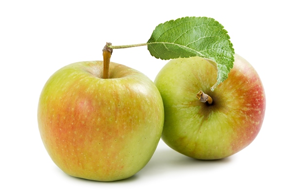 two redyellow apple isolated on white background - Компот из свежих яблок (школьное питание)
