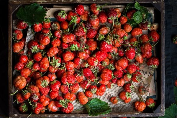 vertical closeup shot of a bunch of strawberries e1706709451549 - Клубнично-молочное желе