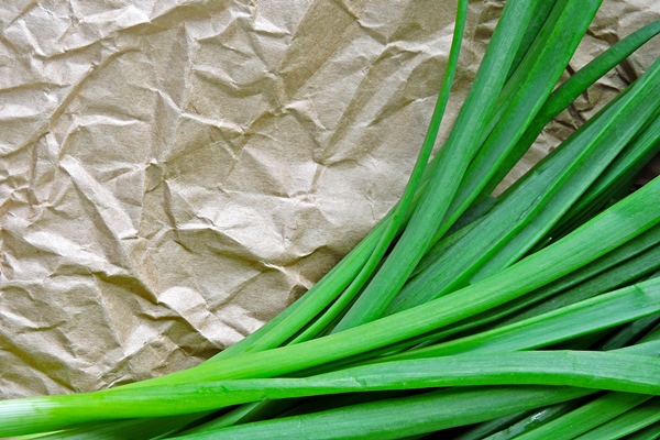a bunch of green onion on crumpled paper - Кугель овощной в мультиварке