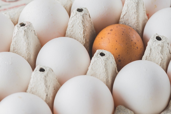 brown and white eggs in rack - Библия о пище: оладьи ашишим из чечевицы