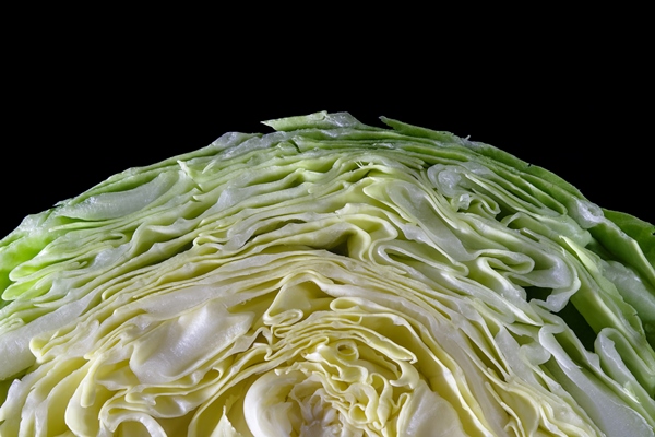 close up of texture cut green cabbage - Пирог из капусты в мультиварке