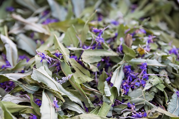 dry fireweed or blooming sally plants for herbal tea and homeopathic medicine 1 - Чай с имбирём, шалфеем и мятой