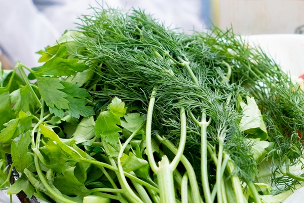 fresh herbs dill and parsley on a table - Кугель овощной в мультиварке