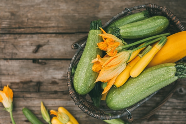 freshly picked zucchini in a basket harvest season - Цукини на гриле с шалфеем