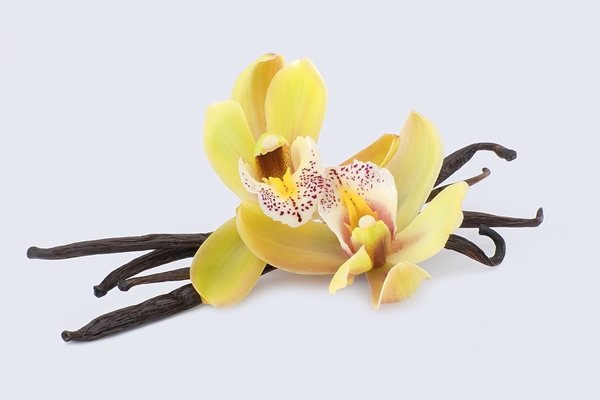 vanilla and flowers - Постный кекс с вишней и кэробом