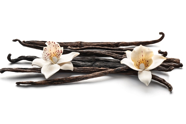 vanilla sticks and flowers on white background - Постный пудинг с кэробом