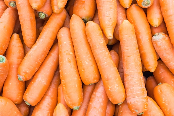 carrot background - Сельдь под лисьей шубкой