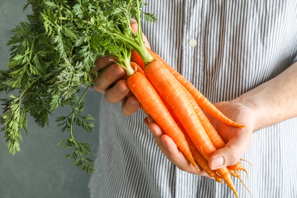 farmer man holding ripe carrots with tops his hands - Овощной бульон (отвар)