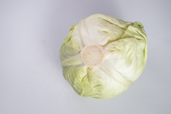 fresh cabbage table - Маринованная капуста по-петровски