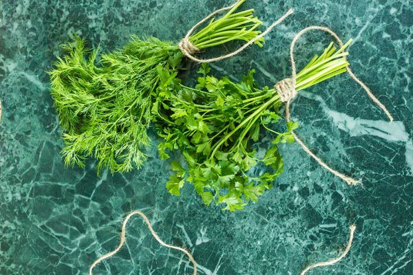 fresh garden dill parsley herbs top view - Овощной бульон (отвар)
