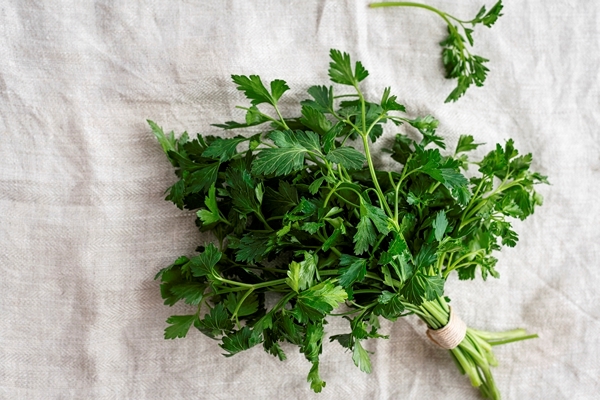 fresh parsley close up food photography - Гремолата