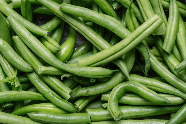 fresh raw green beans - Овощное рагу с брокколи и стручковой фасолью