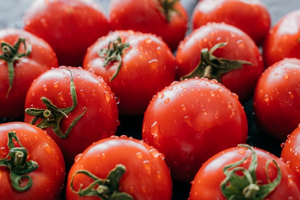 harvesting agriculture concept - Кускус с помидорами и сладким перцем