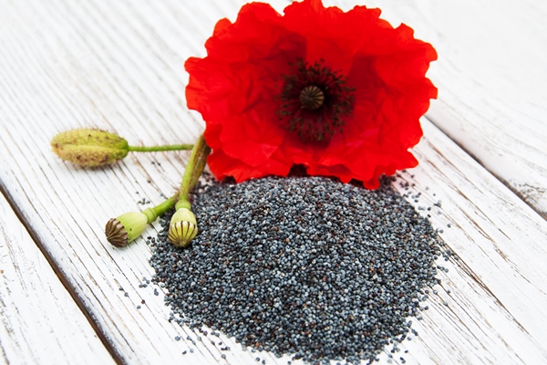poppy seeds flowers - Булочки с маком