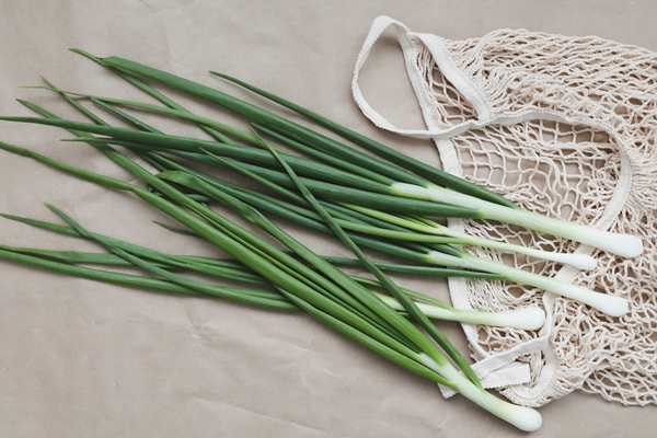 fresh green onions eco friendly bag beige surface - Суп из шпината с тахини