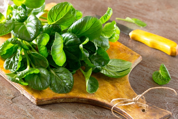 fresh green spinach wooden board - Спанакопита с тахини