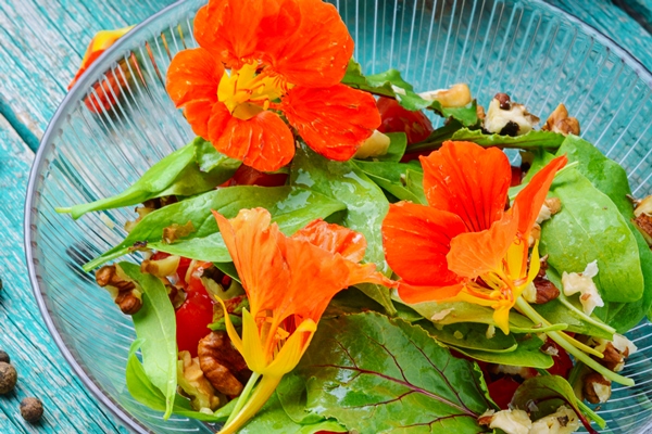 fresh summer salad with nasturtium - Настурция в кулинарии: соус из семян и листьев