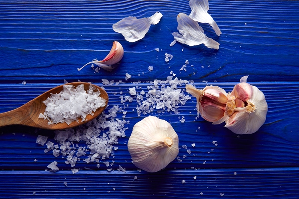 garlic salt spread blue wooden table - Соус с чесноком и тахини