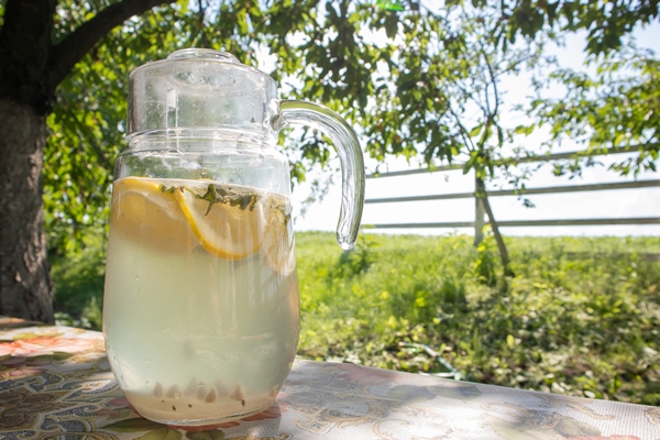 homemade lemonade made from lemons large glass jug table garden jug with lemon mint stands street against backdrop greenery hot summer day - Березовый сок консервированный