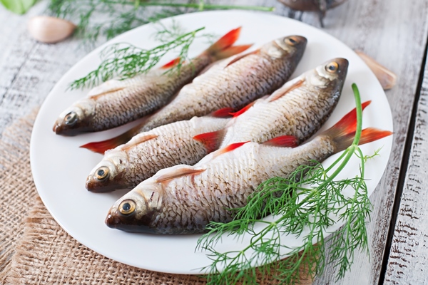 raw fish white plate with dill - Блюда из рыбы на Вербное воскресенье