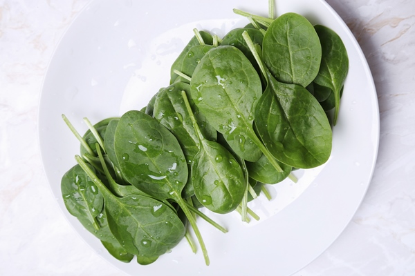 spinach table 1 - Овощная икра из шпината