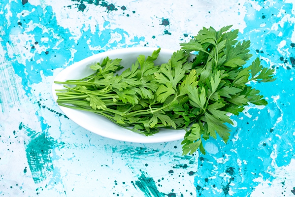 top close view fresh greens isolated inside plate bright blue green leaf product food meal - Фаршированные перцы с киноа