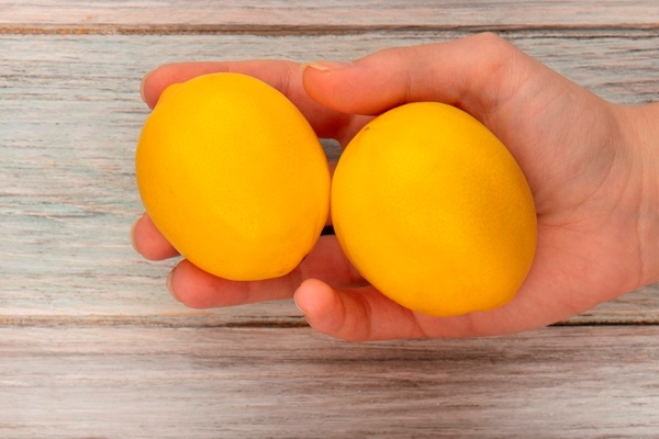 top view female hand holding lemons with lemons bucket grey wooden surface - Рыбная похлёбка по-монастырски