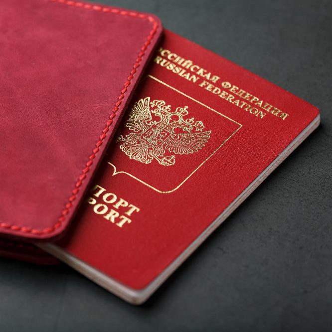 Загляните в свой паспорт, и вы увидите – что вы не замужем… <br><span class=bg_bpub_book_author>Психолог Марина Шмакова, Илья Безродных</span>