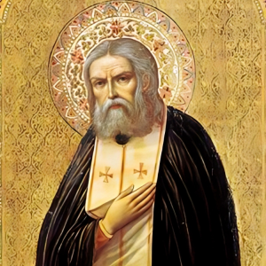 45720544275 - Жесты на иконах