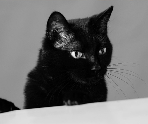 По ту сторону здравого смысла, или Чем суеверие отличается от веры