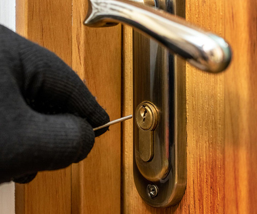 Юные московские язычники обворовали квартиру, а потом купили и убили кошку и змею