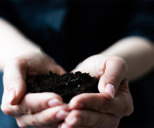 Чудотворна ли «земелька с могилки»?