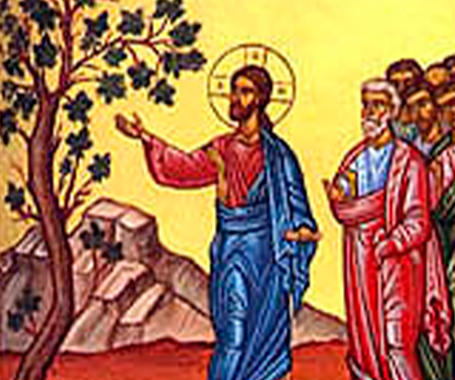 Бесплодная смоковница. О суеверной религиозности, её проявлениях в церковной жизни, а также о необходимости и возможности её преодоления